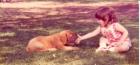Ryan – A Dream of a Dog Ryan – A Dream of a Dog